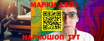 стаф Бийск