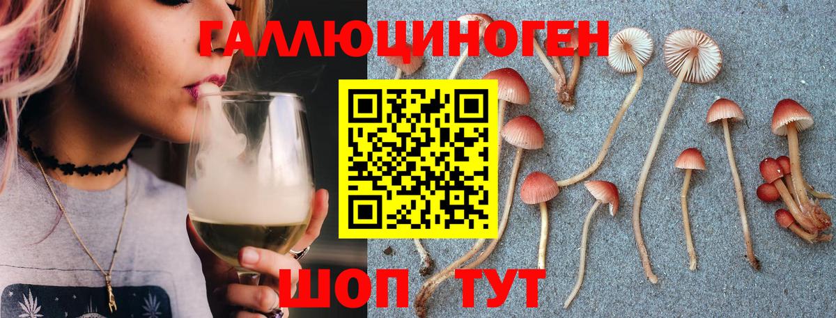 Галлюциногенные грибы Cubensis Зеленогорск